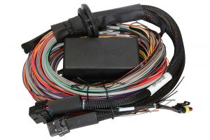 Haltech Elite1500 WireIn Harnesses HT-140904