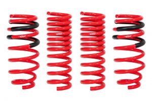 Eibach Pro-Kit Springs E10-27-004-01-22