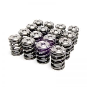 Skunk2 Racing Alpha Spring/Retainer Kit 344-05-1410