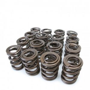 Skunk2 Racing Tuner Valve Springs 311-05-1380