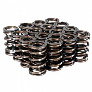 Skunk2 Racing Pro Valve Springs 311-05-7380