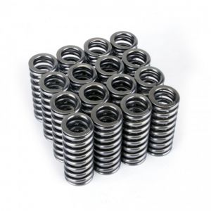 Skunk2 Racing Tuner Valve Springs 311-05-1345