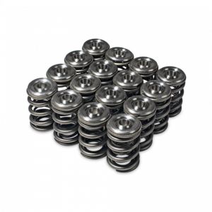 Skunk2 Racing Alpha Spring/Retainer Kit 344-05-1360