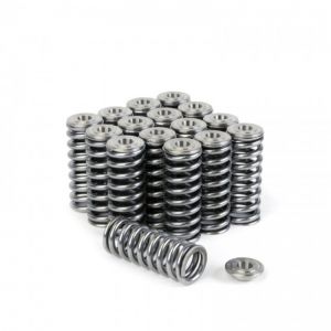 Skunk2 Racing Alpha Spring/Retainer Kit 344-05-1350