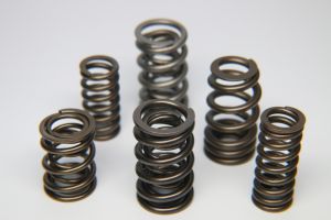 Ferrea Valve Springs - Sets S10148