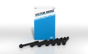 Victor Reinz Cylinder Head Bolts GS33575