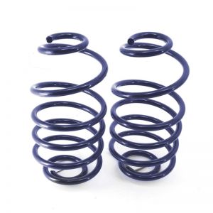 Ridetech Coil Springs 11244799