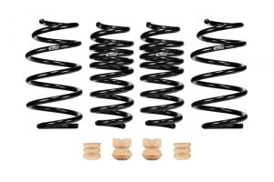 Eibach Pro-Kit Springs E10-23-039-01-22