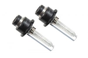 Diode Dynamics Replacement Bulbs DD1042P