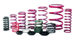 Eibach ERS Springs TRB225