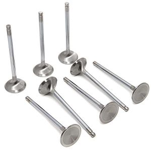 GSC Power Division Exhaust Valves -STD 2015-01