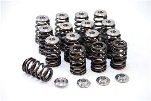 GSC Power Division Valve Spring Kits 5046