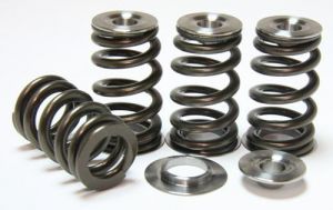 GSC Power Division Valve Spring Kits 5056