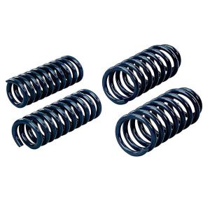 Hotchkis Coil Springs 19101