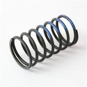 Turbosmart Wastegate Springs TS-0501-2005