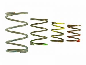 Turbosmart Wastegate Springs TS-0550-3151