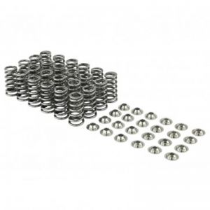 Skunk2 Racing Pro Valve Springs 313-14-1000