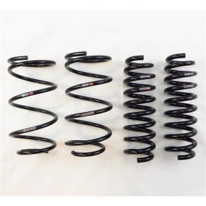 RS-R Ti2000 Down Springs BM007TD